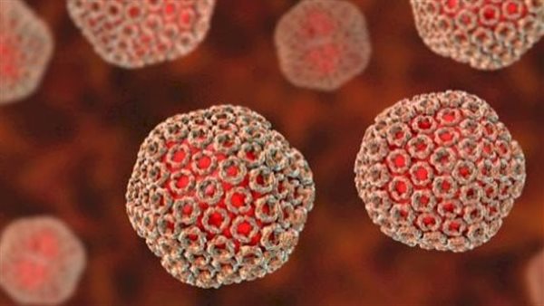 Sorry! Image not available at this time