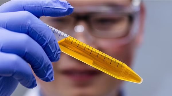 باحثون - تعبيرية