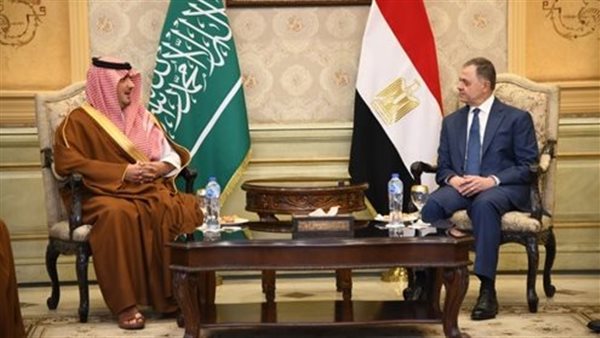 وزير الداخلية المصرية