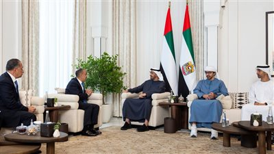 وزير الخارجية يبحث مع الرئيس الإماراتي جهود وقف إطلاق النار في غزة