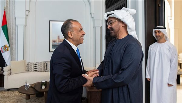 وزير الخارجية يلتقي