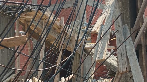 جانب من الحملة