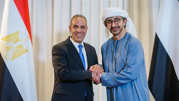 وزير الخارجية يلتقي