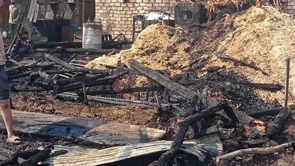 حريق حظيرة مواشي