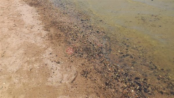 التلوث البترولي شمال