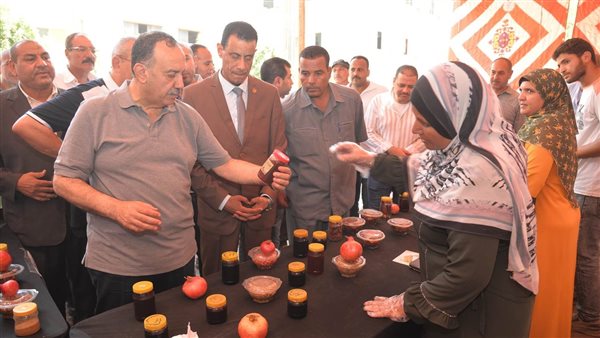 محافظ أسيوط