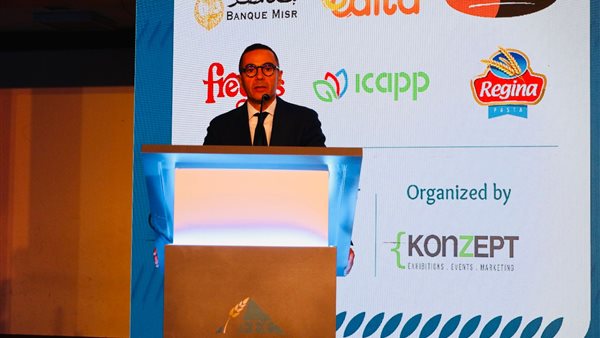 وزير الاستثمار