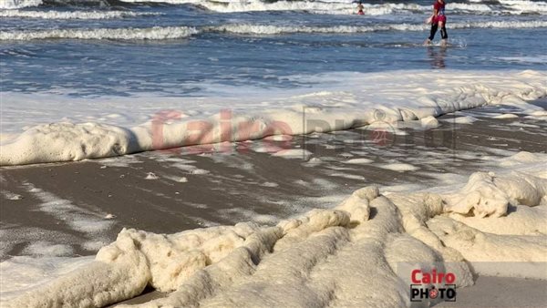 زبد البحر علي شاطئ