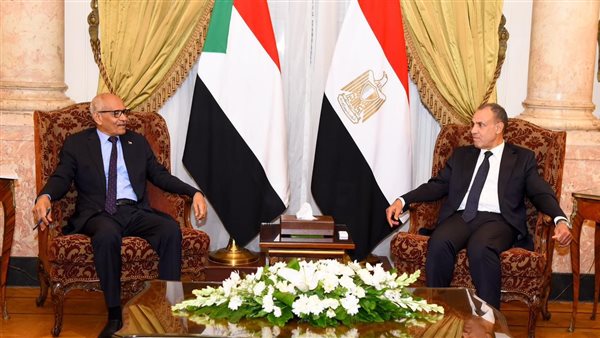 وزير الخارجية يستقبل