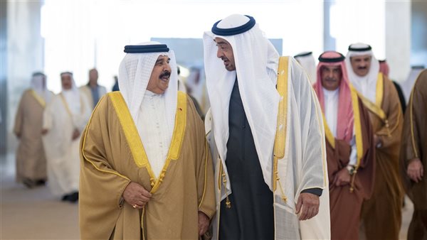 رئيس الإمارات يستقبل