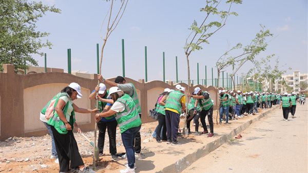  زراعة 273 شجرة حول