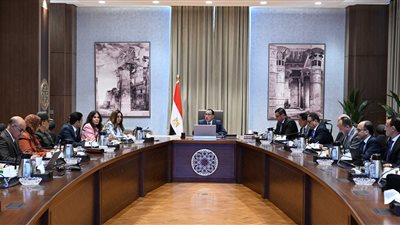 الحكومة: عرض إجراءات تسليم المرحلة الأولى من أرض رأس الحكمة على الشركة الإماراتية