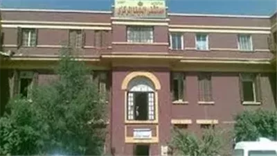 مصرع عامل دهسًا أسفل عجلات قطار بسوهاج