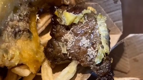 عميلة تعثر على ديدان