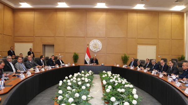 وزير الكهرباء 