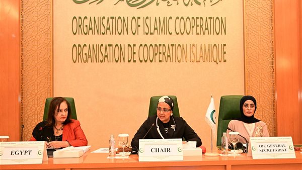 جانب من كلمة القومي