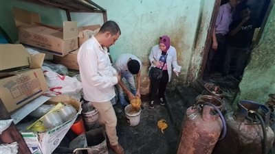 لحوم وفراخ فاسدة…..ضبط كميات من المواد الغذائية الغير صالحة للاستهلاك الآدمي بالدقهلية 