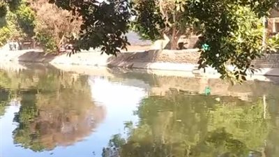 انقلاب سيارة داخل ترعة يسفر عن مصرع شخصين في الأقصر | بث مباشر 