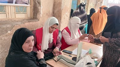 صحة الدقهلية: تقديم مليون خدمة ضمن حملة 100 يوم صحة