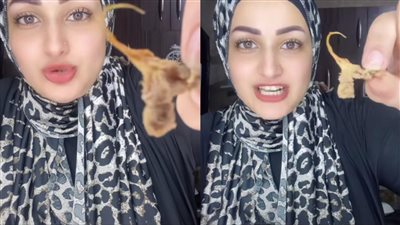 ديل حيوان في الأكل.. سيدة تهدد بمحاسبة شركة كوكي: مش هسيب حقي وهرفع قضية