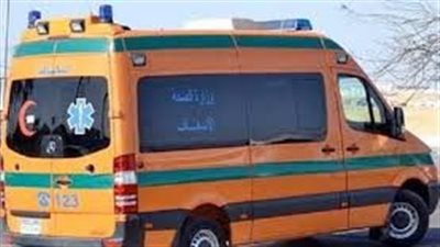 حاول إنهاء حياته.. شاب يقطع شرايينه باستخدام آلة حادة بالأقصر