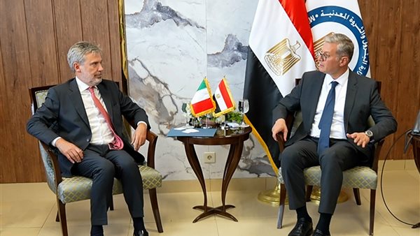  المهندس كريم بدوي