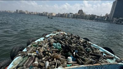 البيئة: تجميع 100 كيلو من المخلفات بمنطقة الميناء الشرقي بالإسكندرية وتوجيهها لإعادة التدوير| صور