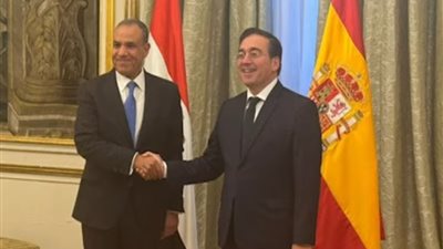 وزير الخارجية يعرب عن تطلع مصر لاعتراف مزيد من الدول بالدولة الفلسطينية 