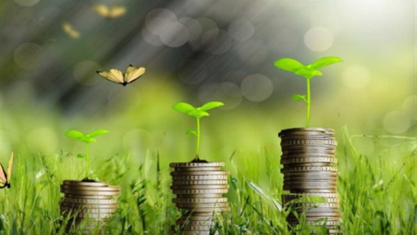  الاستثمارات الخضراء