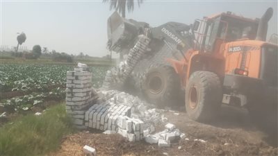 إزالة 212 حالة بناء مخالف ببني سويف بعد مرور أسبوعين على بدء حملات المرحلة الثالثة