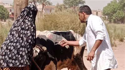 تقديم 1386 خدمة خلال 3 قوافل بيطرية مجانية في المنيا