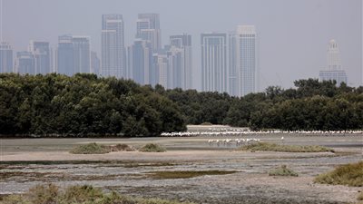 طقس الإمارات اليوم.. انخفاض درجات الحرارة خاصة بالشمال