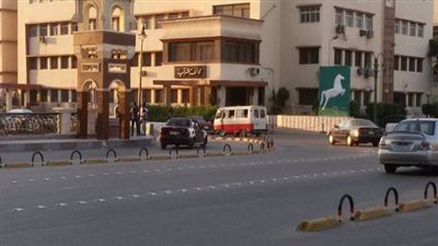 الشرقية في أسبوع.. زيارة البابا تواضروس ومهرجان الخيول وإعدام قاتل جاره