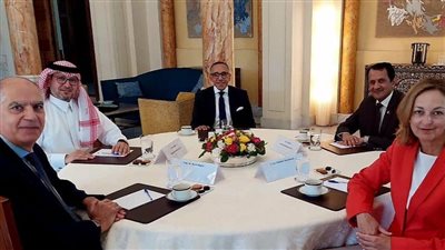 سفير مصر: سعينا لمنع توسع المواجهات العسكرية بجنوب لبنان.. ولا بد من إنهاء الفراغ الرئاسي