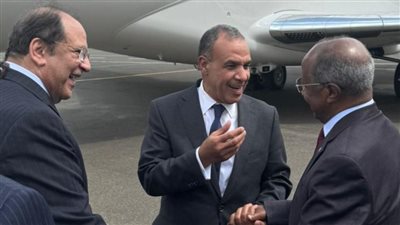 رئيس المخابرات ووزير الخارجية يزوران أسمرة ويلتقيان الرئيس الإريتري 