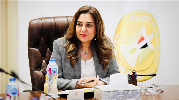 التنمية المحلية