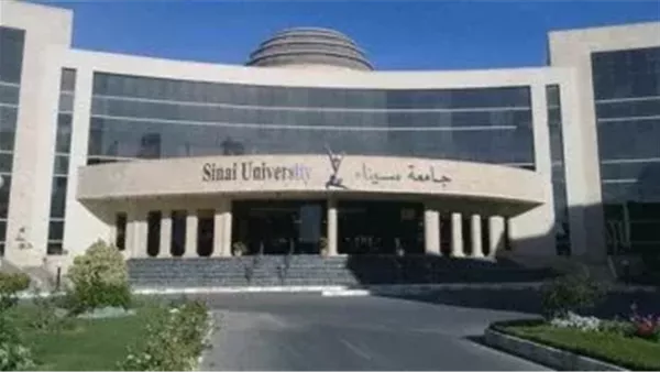 جامعة سيناء