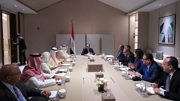 جانب من لقاء رئيس