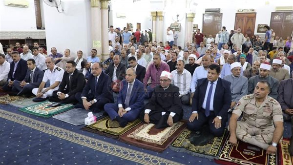 محافظ المنيا