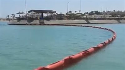 لليوم الثاني عشر.. البيئة بالبحر الأحمر تواصل عملية المسح البحري لمنطقة شمال الغردقة | بث مباشر 