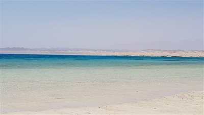 جرفهم التيار.. تفاصيل العثور على 3 غواصين من أيرلندا في مرسى علم | بث مباشر