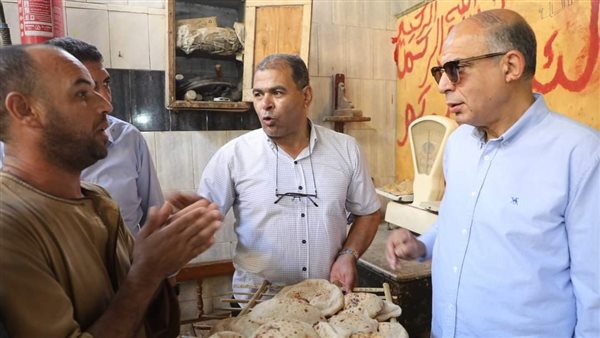 محافظ المنيا