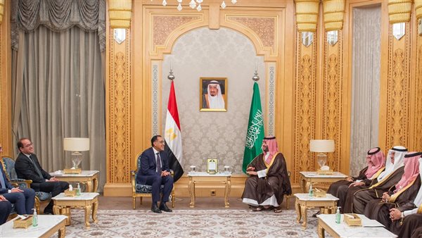 ولي العهد يلتقي رئيس