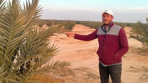 المهندس وليد شكر