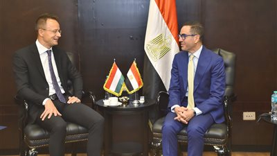 بزيادة 16.9%.. وزير الاستثمار: 379 مليون دولار حجم التبادل التجاري مع المجر العام الماضي