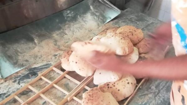 حملة تفتشية بأسوان