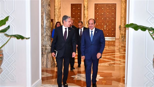 السيسي ووزير الخارجية