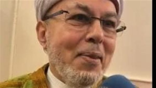 صلاح الدين التيجاني