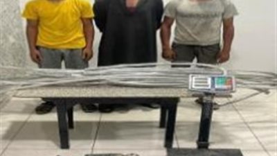 القبض على المتهمين بسرقة مخزن شركة بالشيخ زايد 