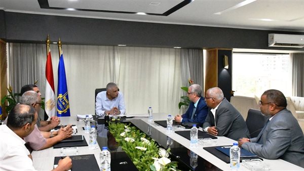 محافظ أسوان